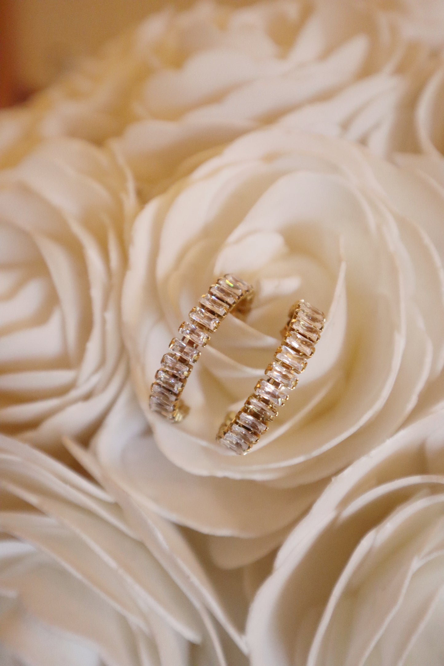 Shine Earrings